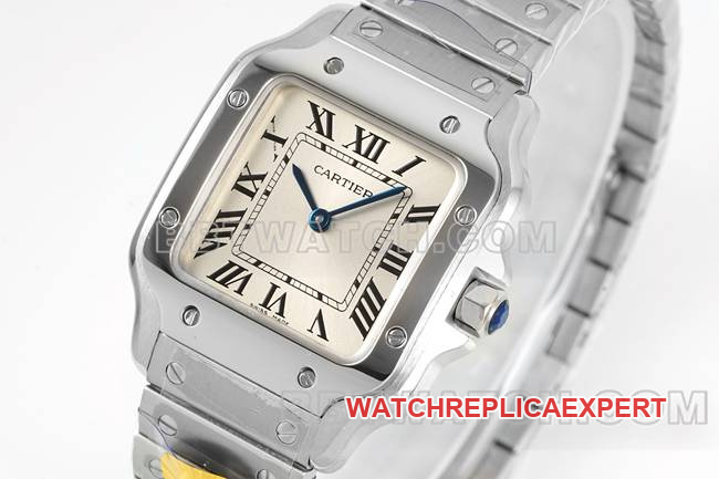 collectible watch Santos Cartiersilver dialquartz movementfront live photo