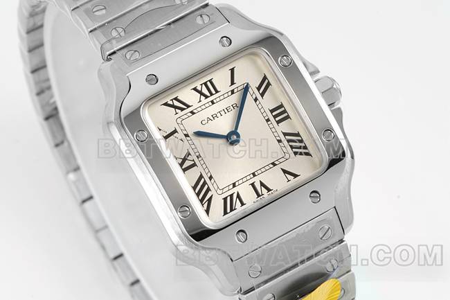 collectible watch Santos Cartiersilver dialquartz movementfront live photo