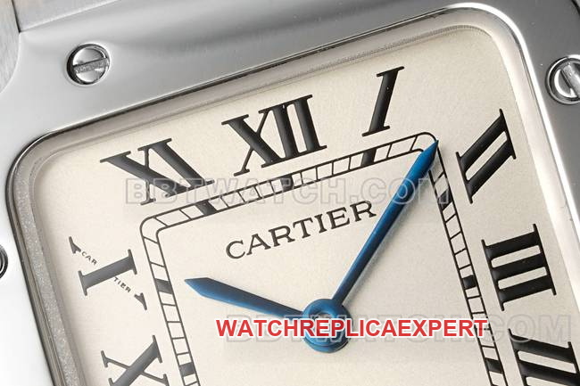 collectible watch Santos Cartiersilver dialquartz movementfront live photo