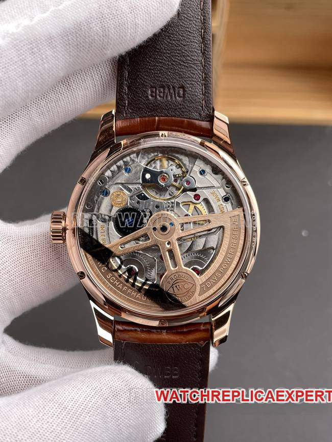 collectible watch Portugal APS factory IWC perpetual calendar gray plate rose goldcaseback live photo