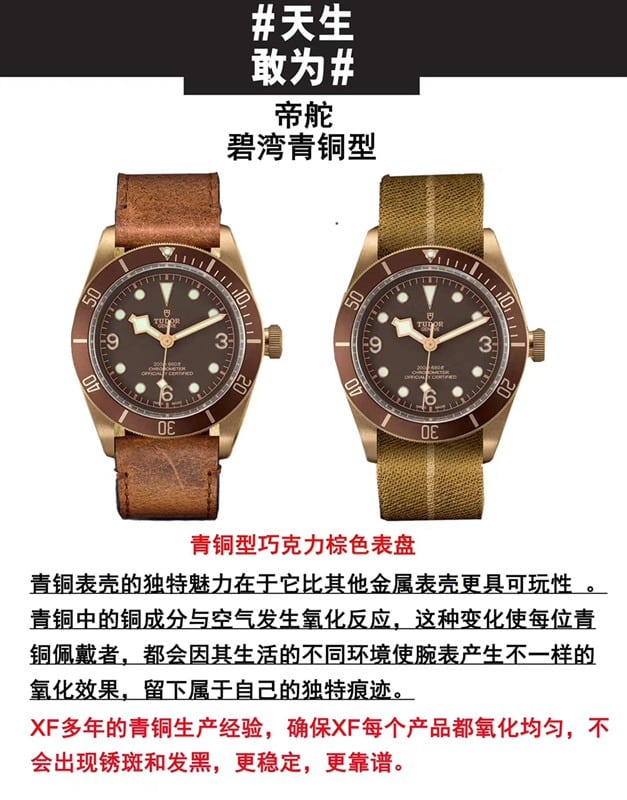 watch xfTudorbronze Biwan series comparison Genuine review front view