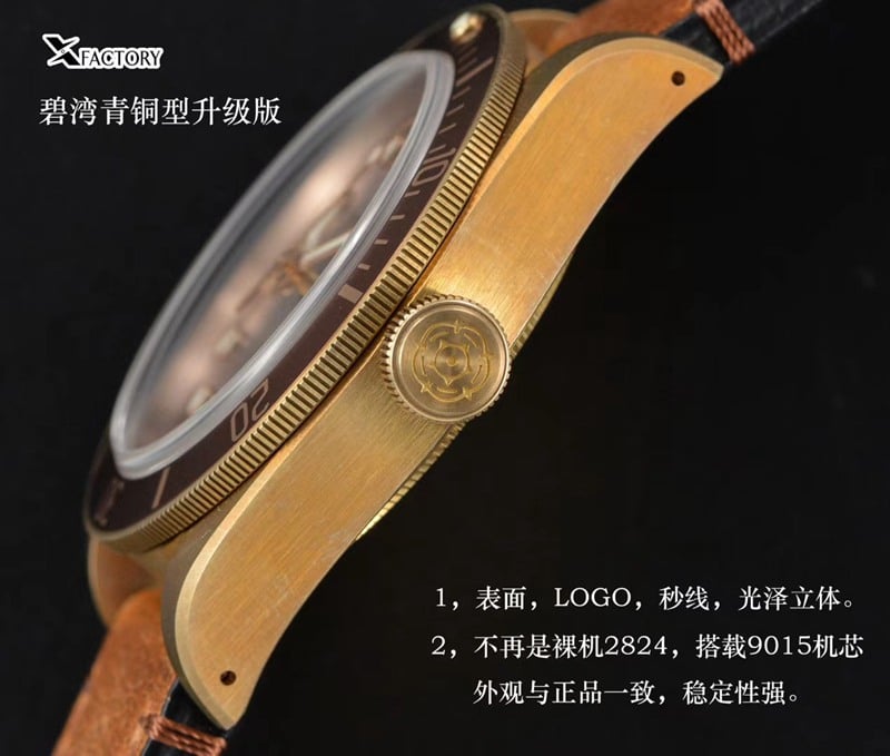 watch xfTudorbronze Biwan series comparison genuine review dial side view