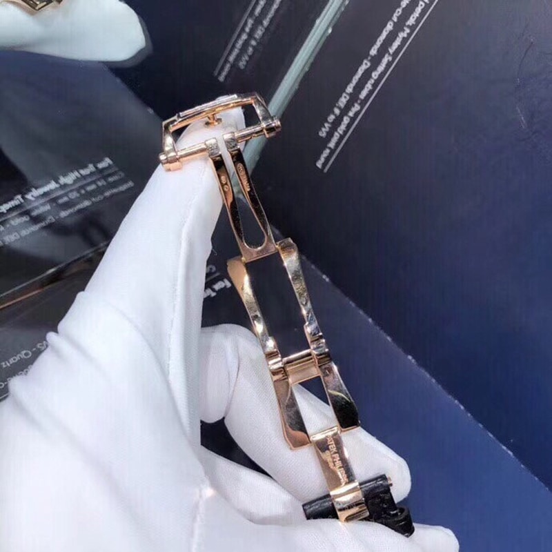 Patek Philippe Sports Series OEM rear real diamond 40mmclasp picture