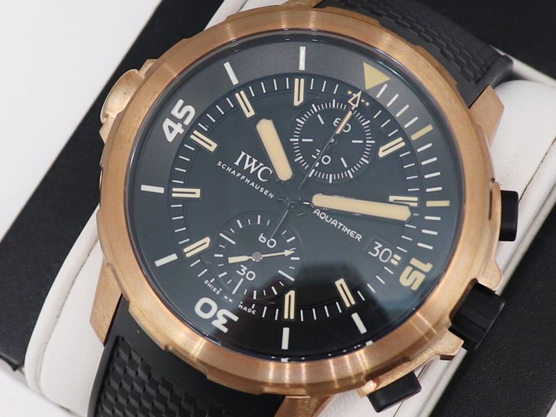 IWCsuper watch journey darwin adventure special edition watch front view