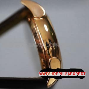 How to check the IWC watch model