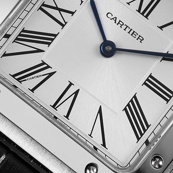 New masterpiece Cartier Santos couple's watch detail photos