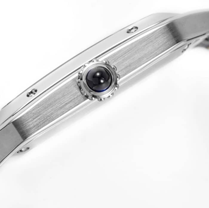 New masterpiece CartierCartier Santos couple watch side view
