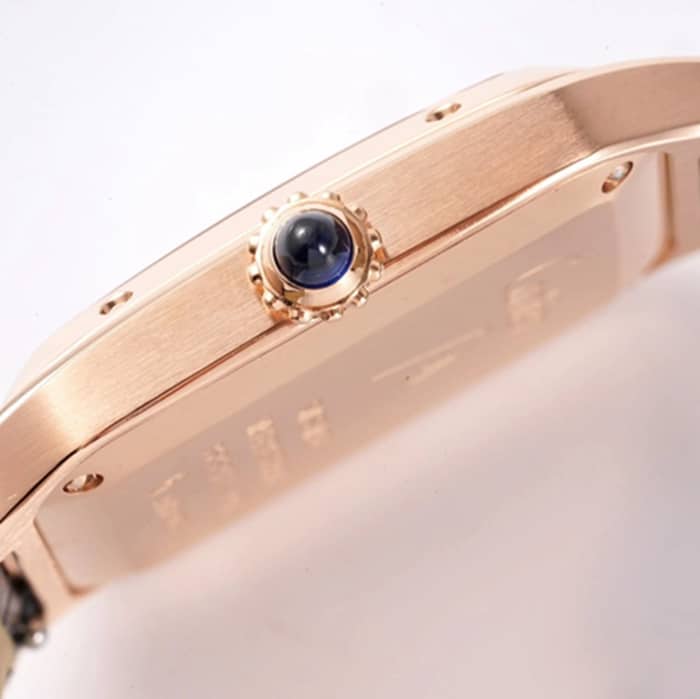 New masterpiece CartierCartier Santos couple watch side view