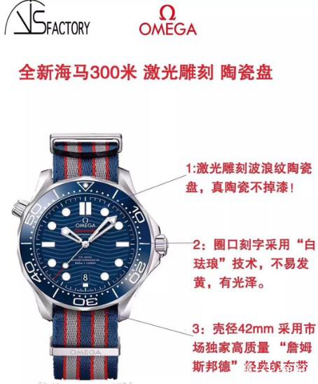 VS FactoryOmegaSeamaster300
