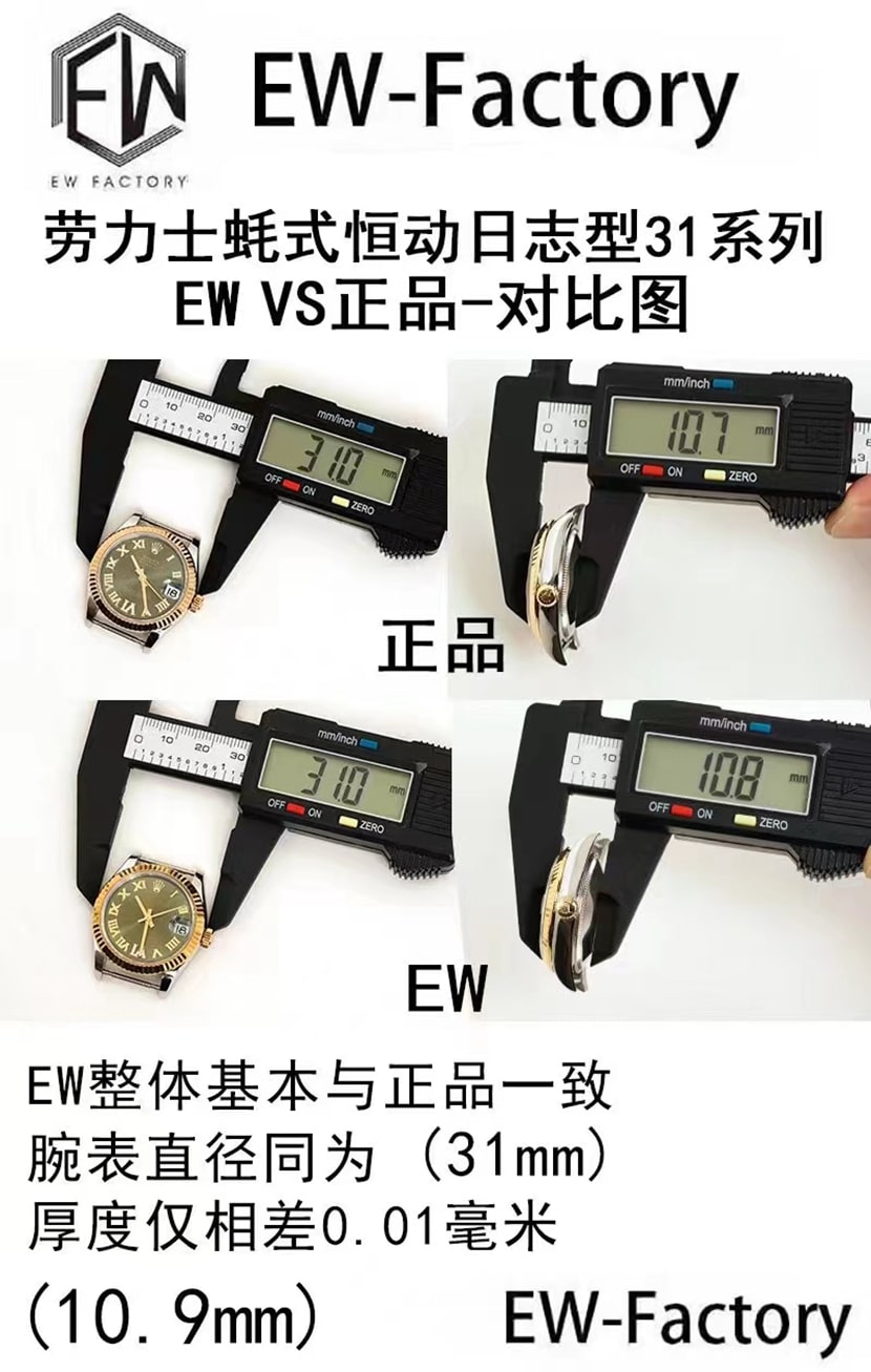 EW Rolex Top collectible watches Oyster Perpetual Logo 31mm Real and Fake Comparison Review