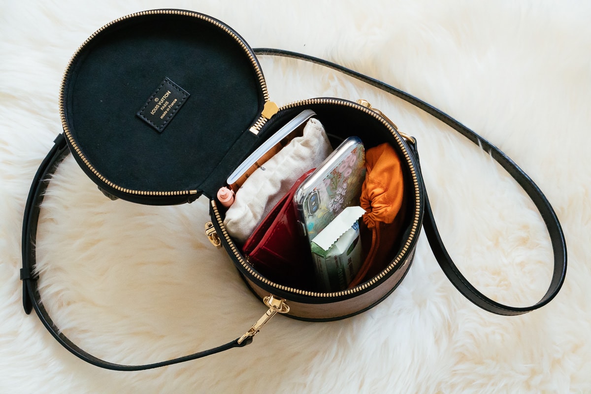 LV Cannes What Fits 1