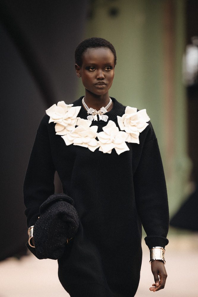 Chanel Fall Winter 2025 Bags 14