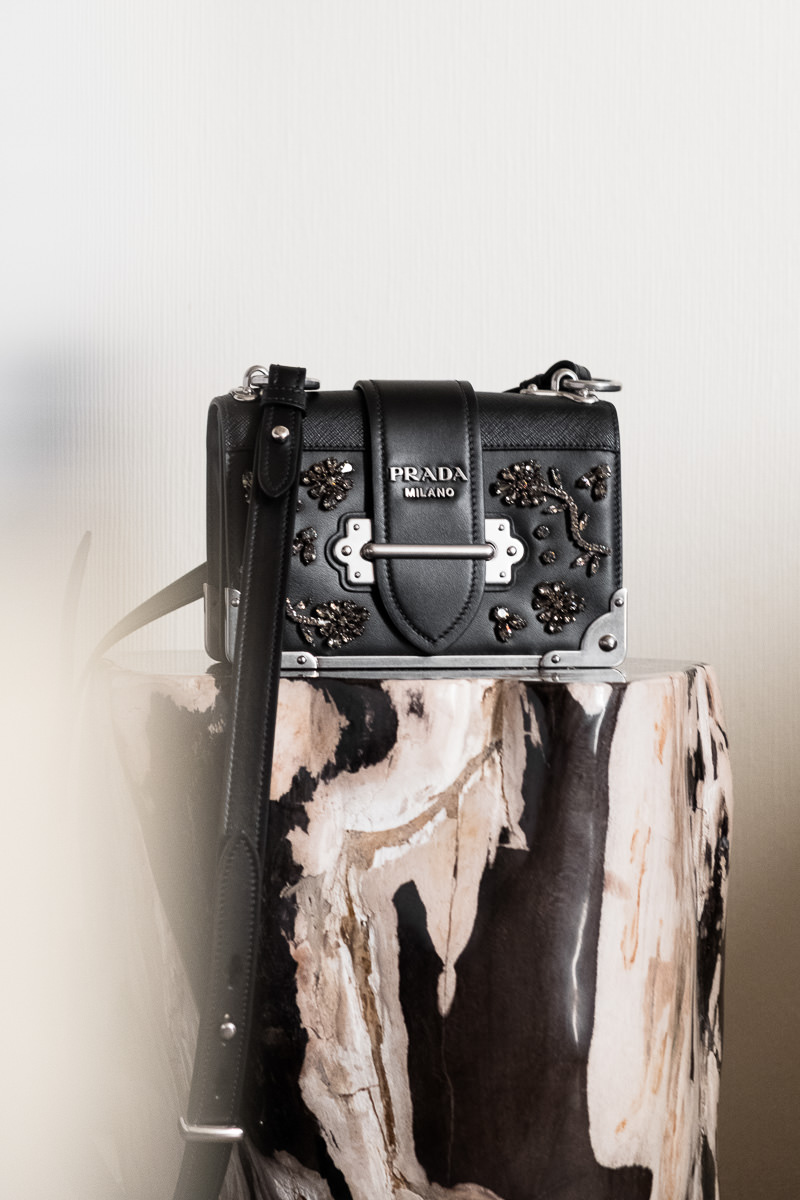 Prada Appliques Bags 4 of 21