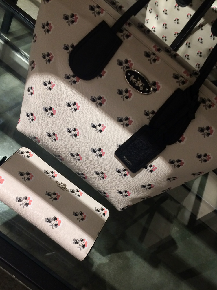 Coach-Spring-15-Preview-10