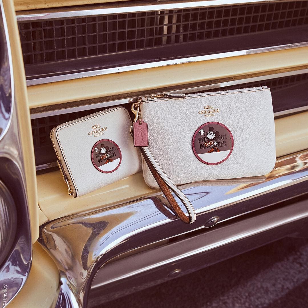 Disney x Coach 4