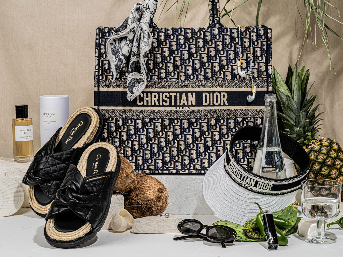 The Dior Book Tote Size Guide
