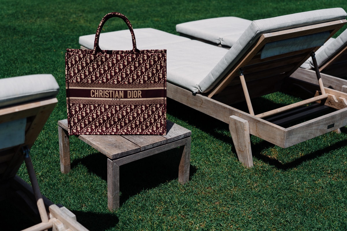 Dior Book Tote Variations 2