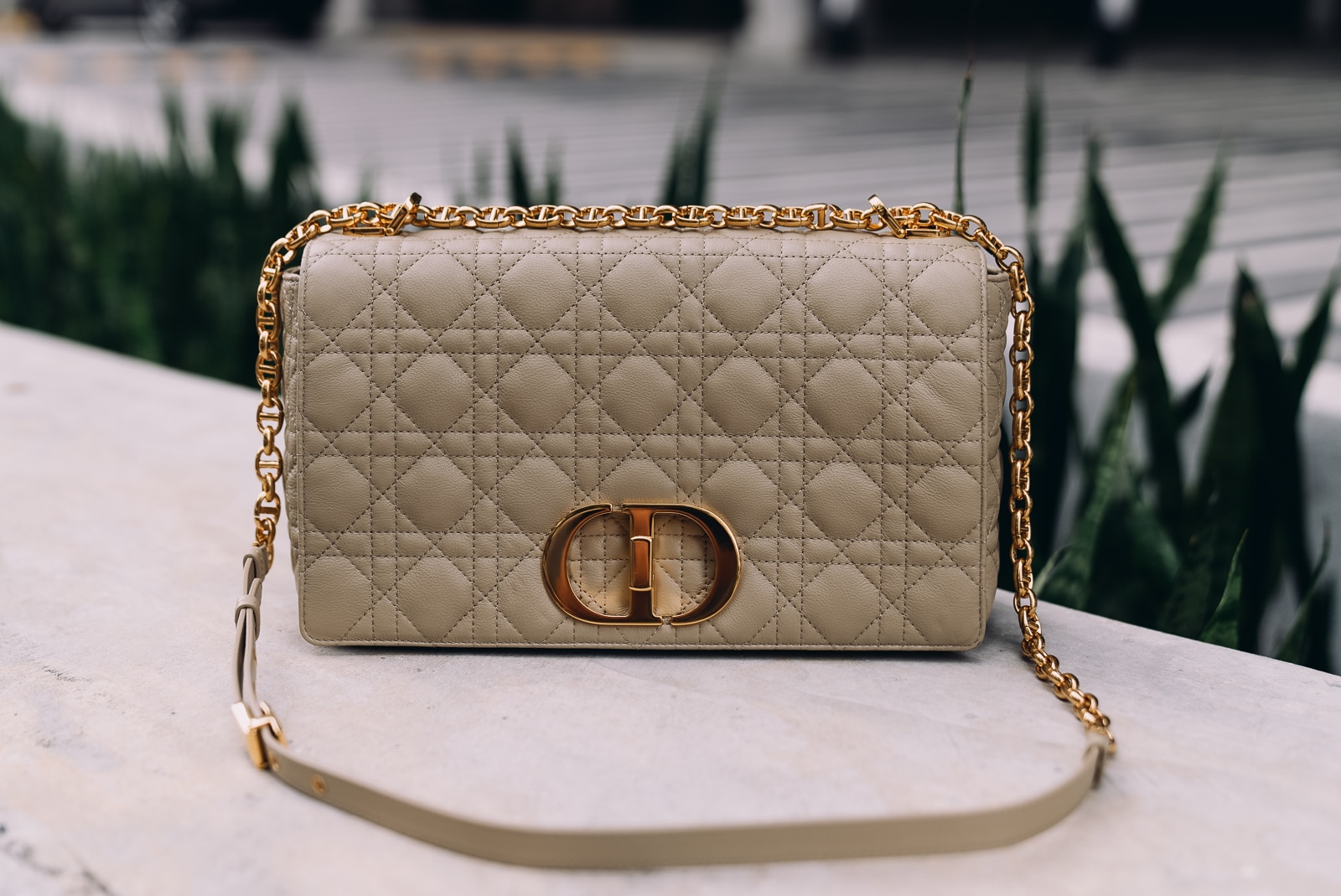 Dior Caro Bag Preview 3