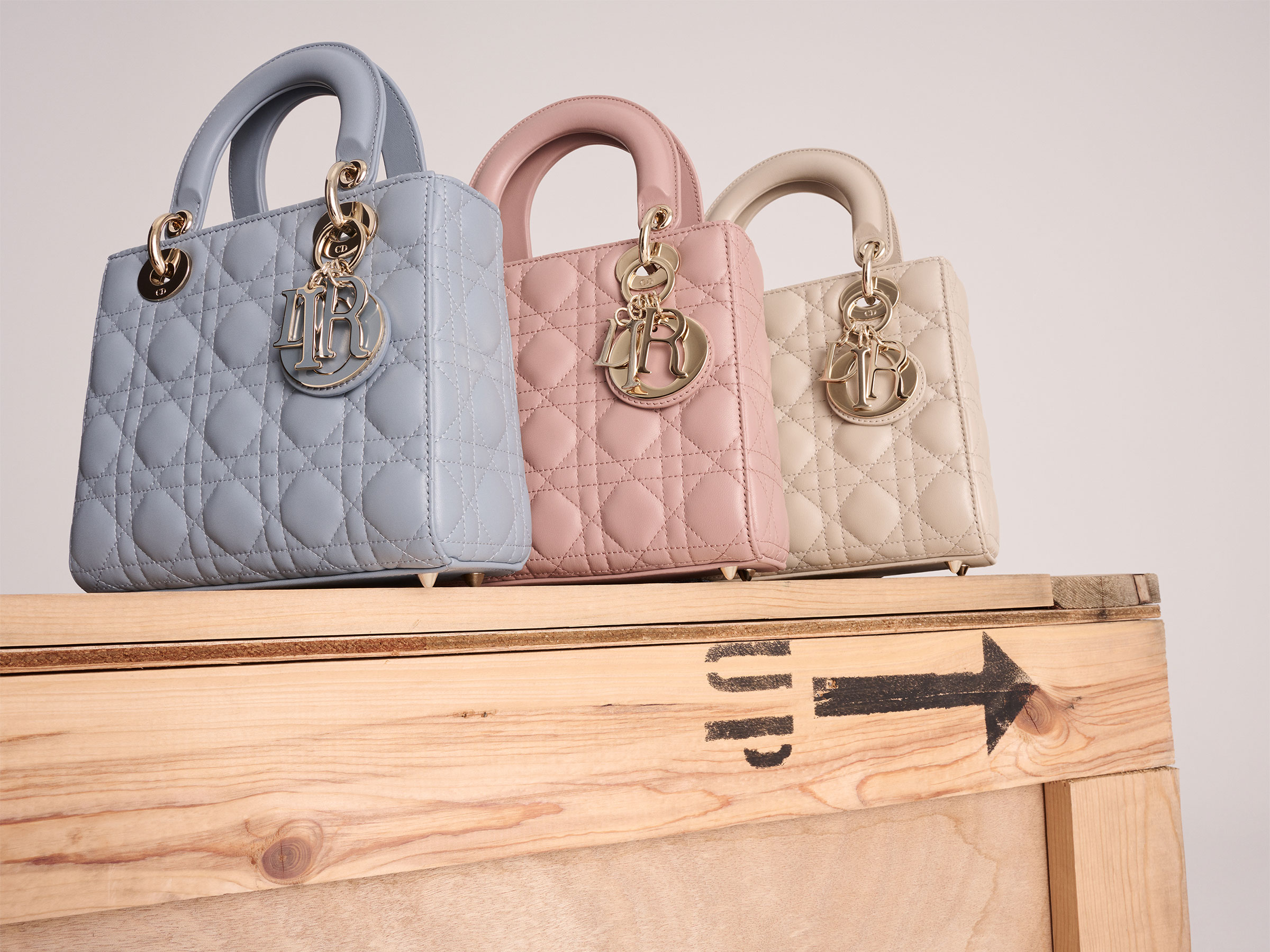 From Lady Dior To Book Tote: The Everlasting Appeal Of Dior’s Statement Bags