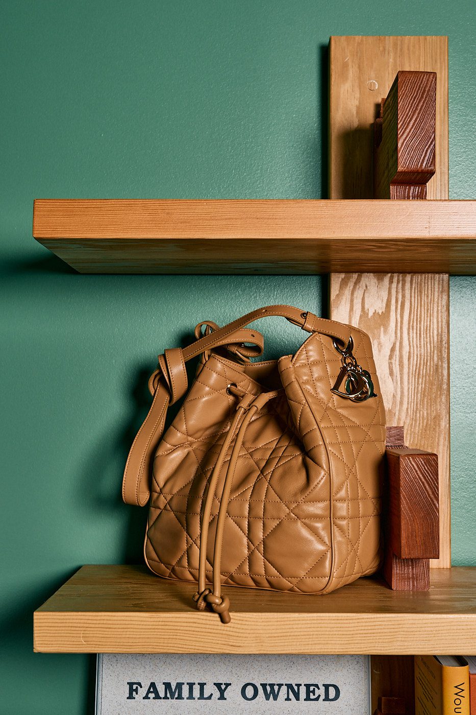 Dior D Motion Hobo Lambskin Detail