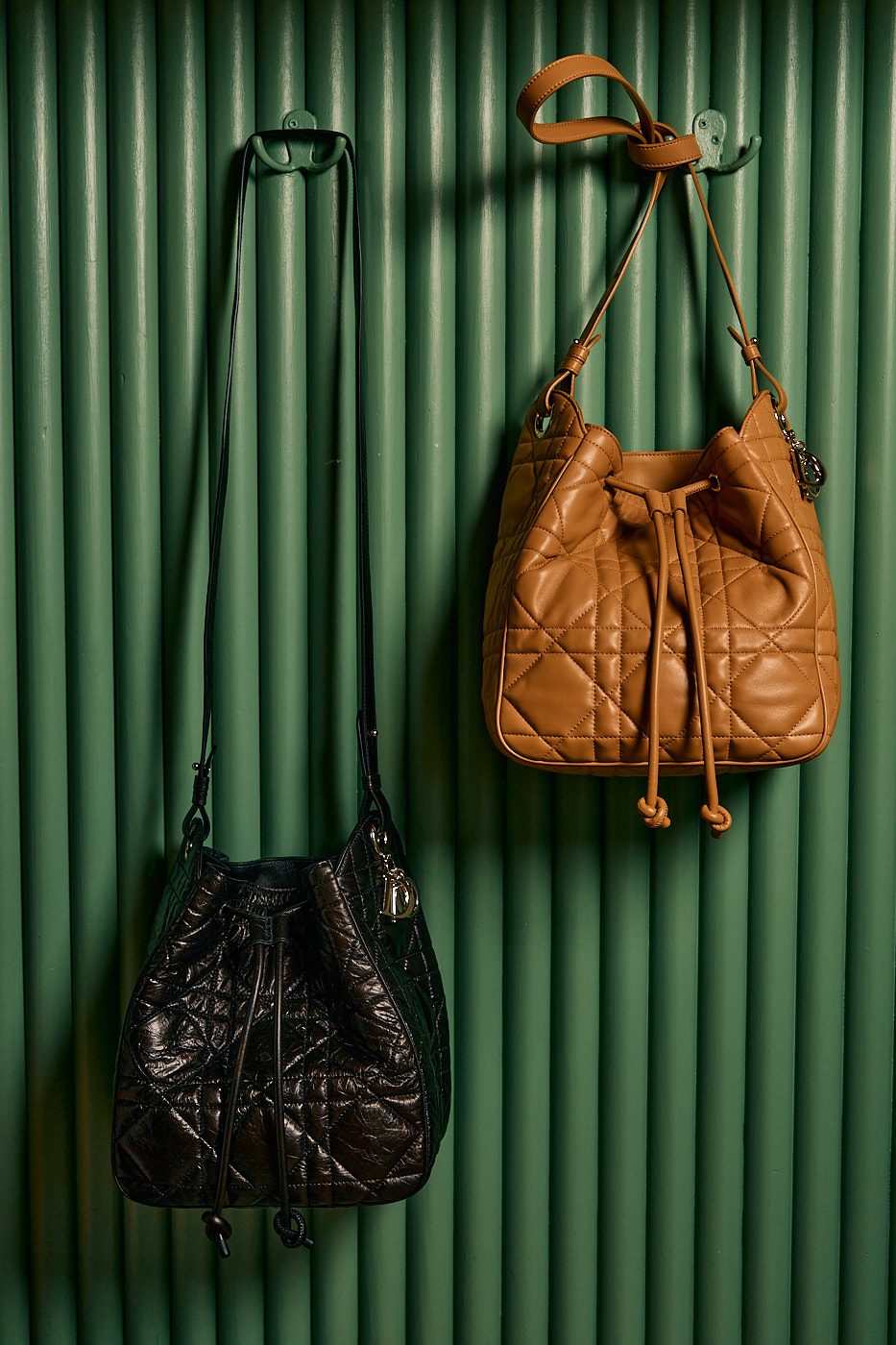 Dior D Motion Hobo against Green Wall 1