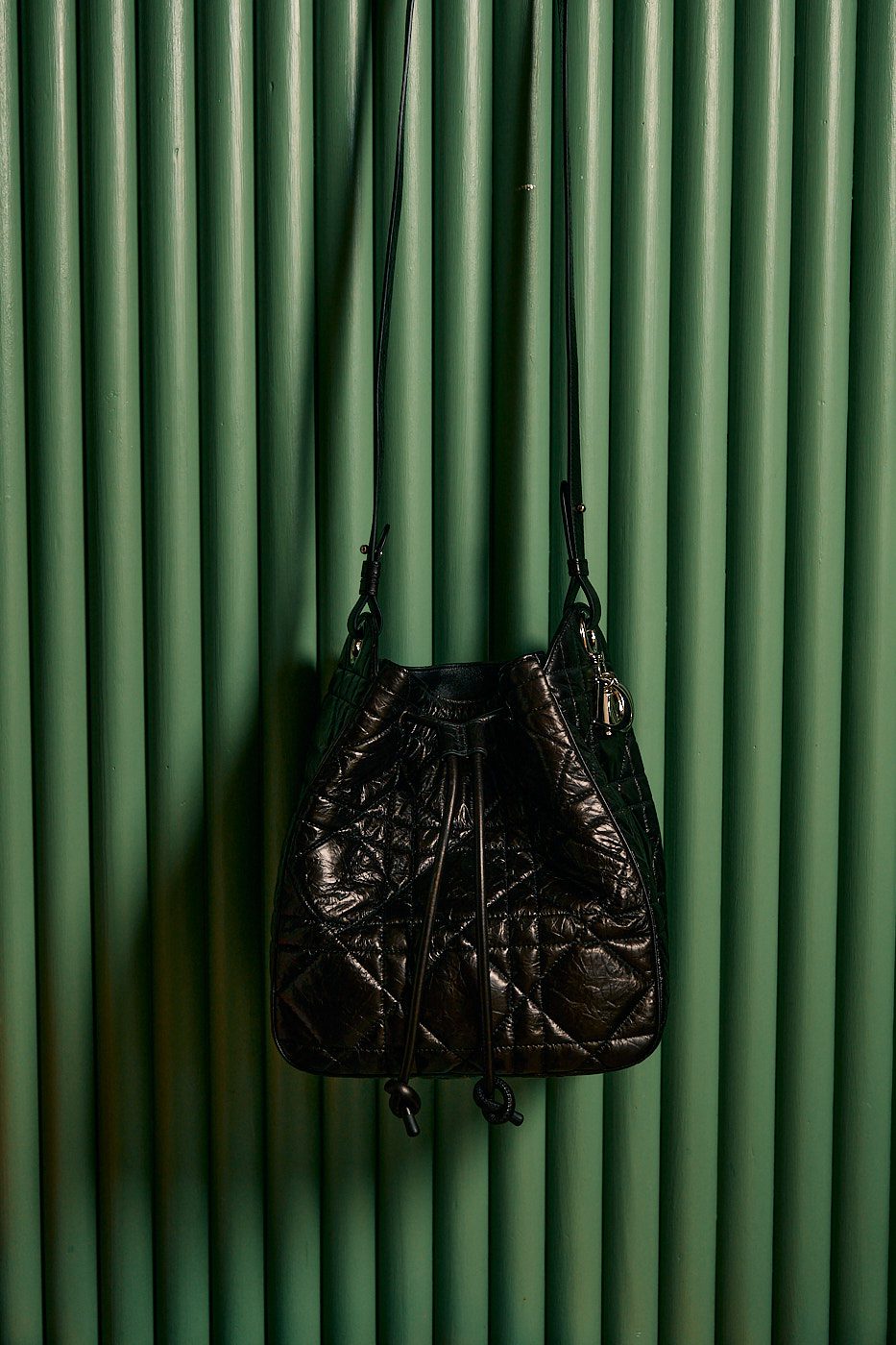 Dior D Motion Hobo against Green Wall