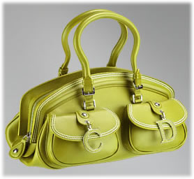 Dior Detective Medium Bag