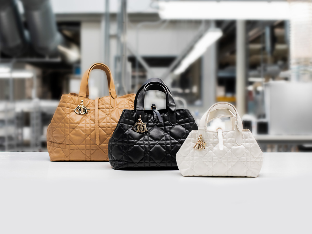 Discover The Brand New Dior Toujours Bag