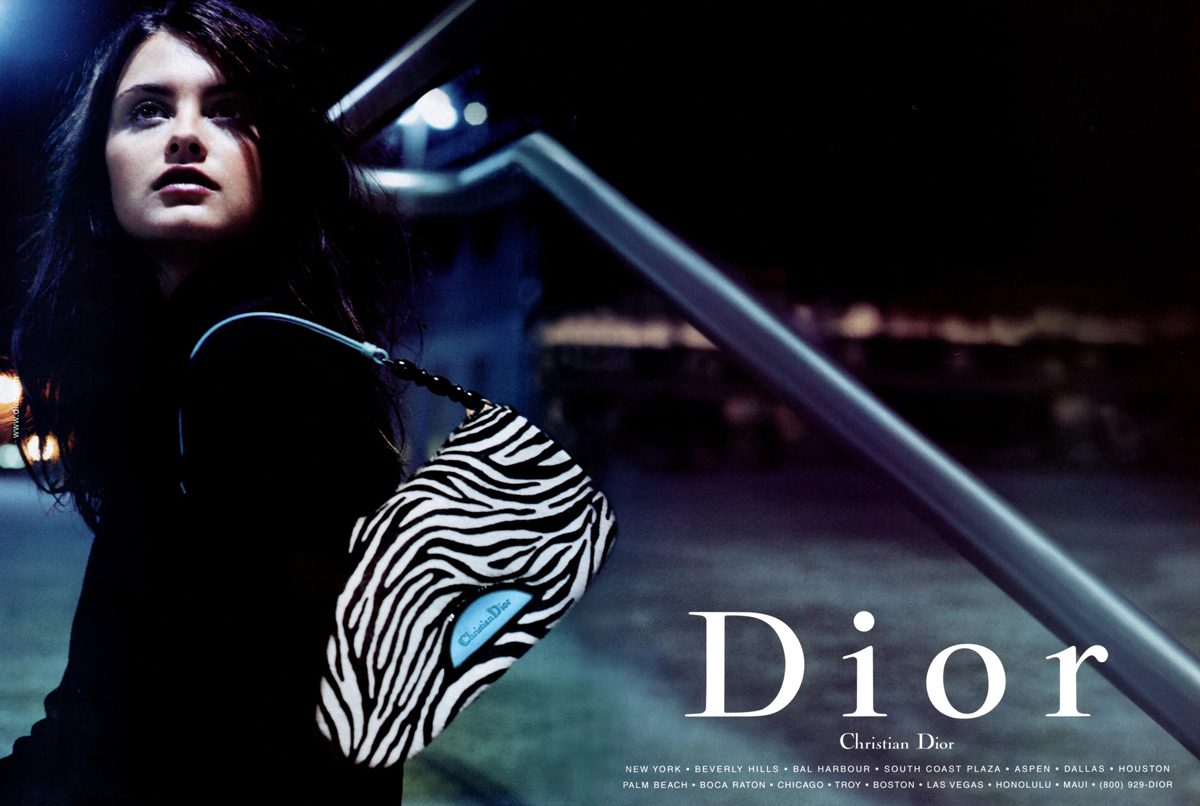 CHRISTIAN DIOR