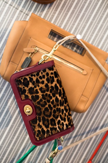 Coach Fall 2012 13