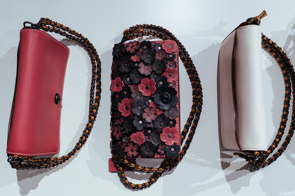 Coach Pre Spring 2017 Bags (22)