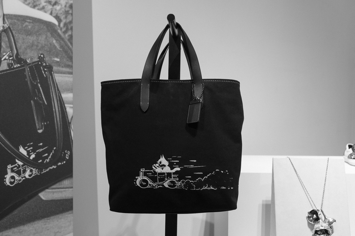Coach Pre Spring 2017 Bags (23)