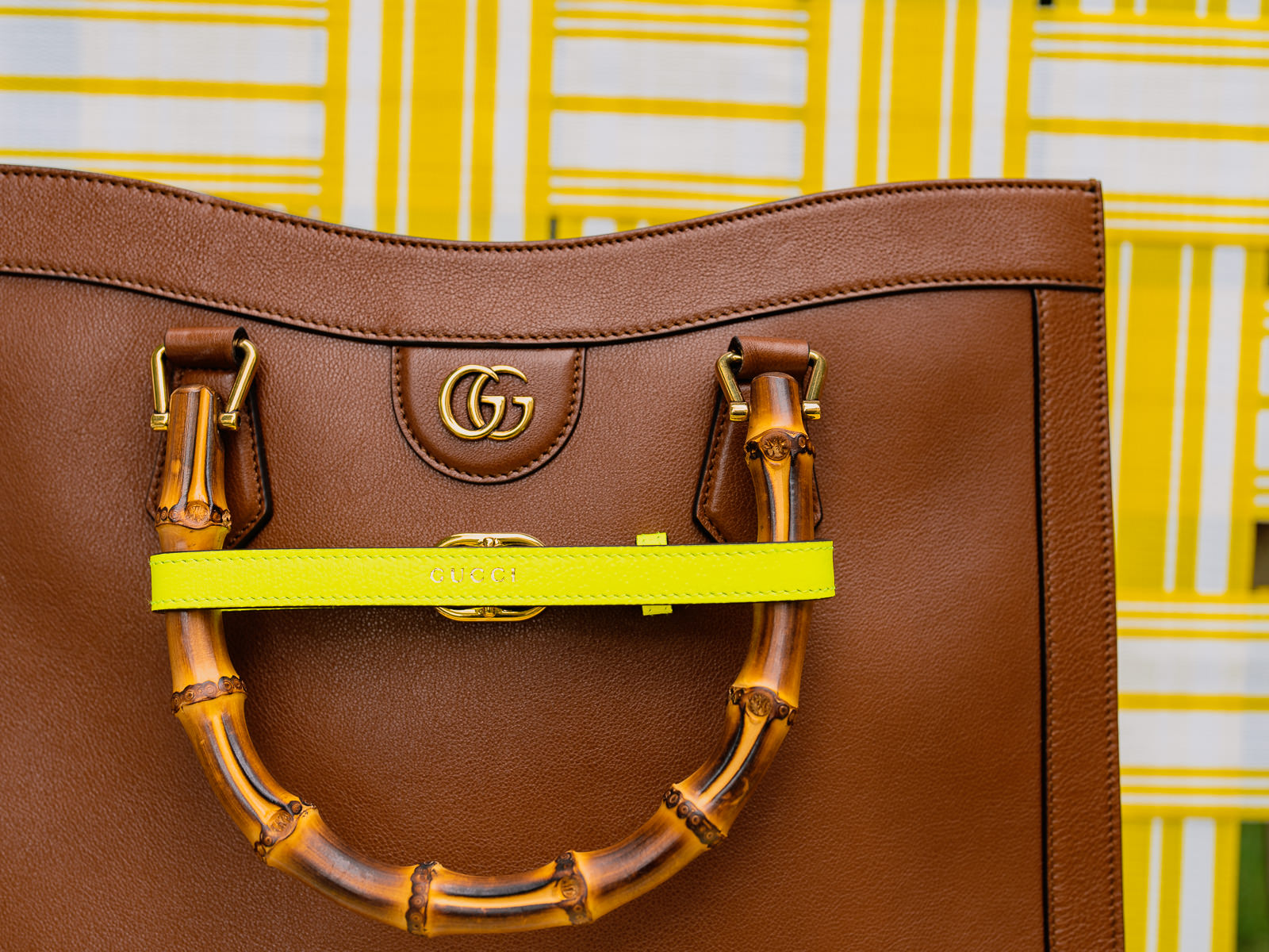 Gucci Diana Bag 2
