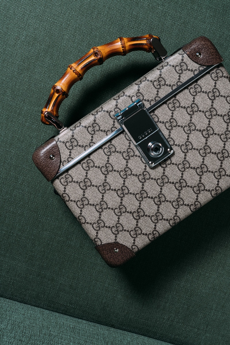 Gucci Globe Trotter Beauty Case Detail 1