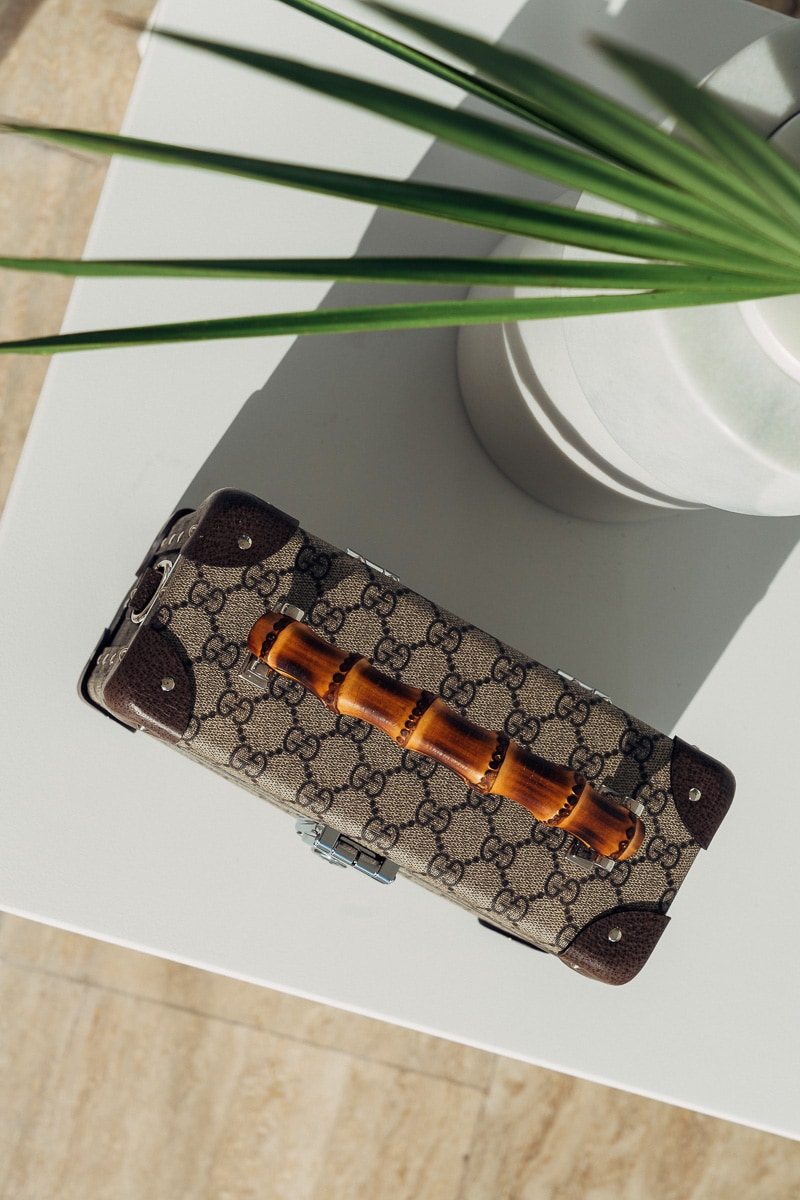 Gucci Globe Trotter Beauty Case Detail 3