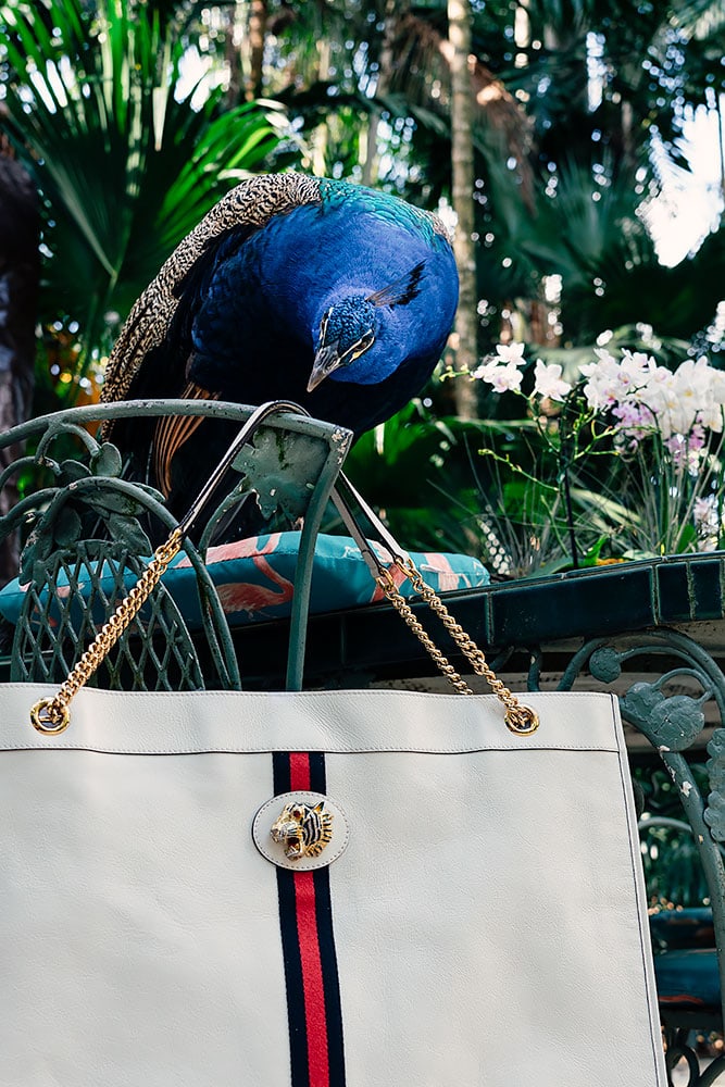Gucci Rajah Tote Maxi White 3