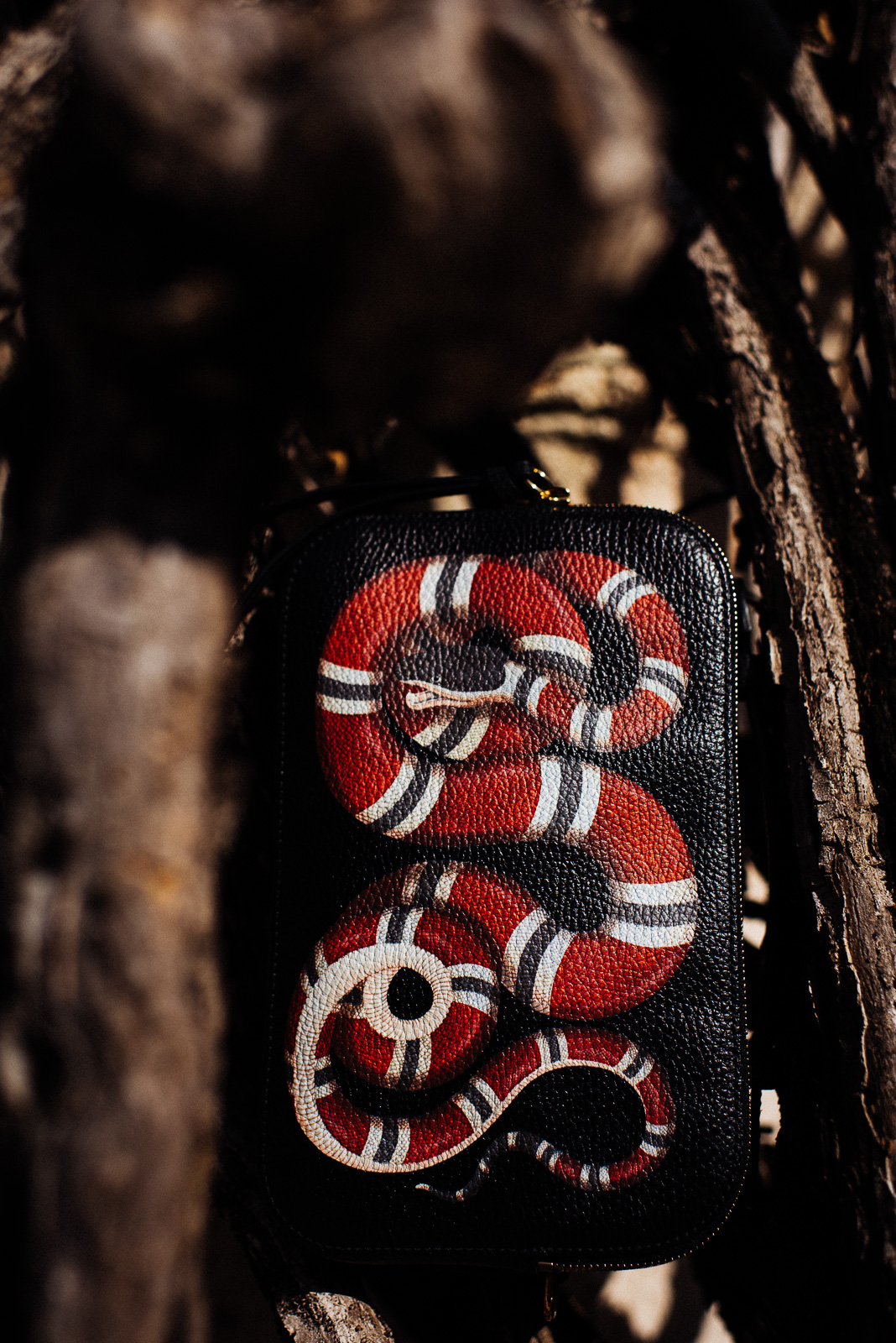 gucci-cruise-4