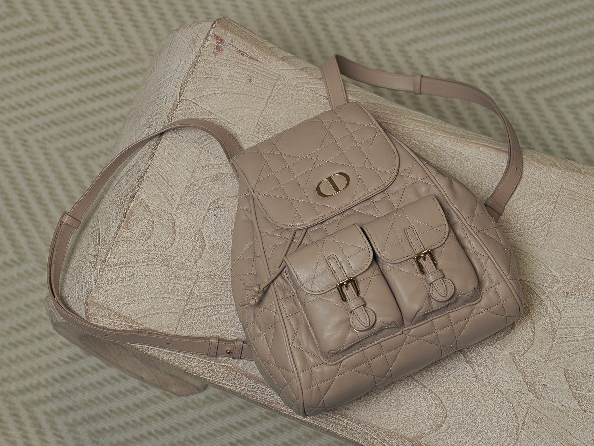 Dior Caro Backpack 5 of 7