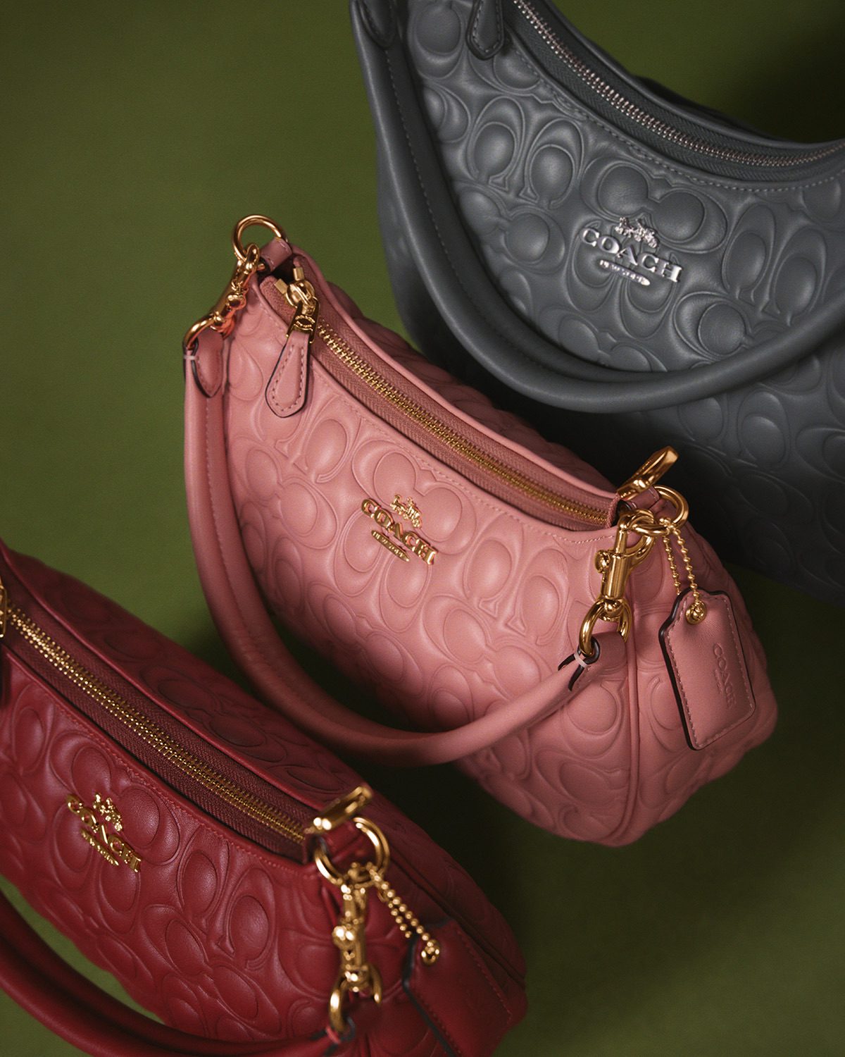 Coach teri bags