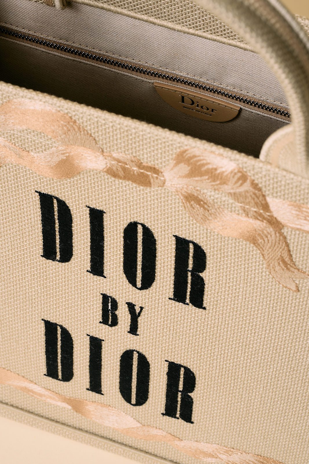 Dior Book Tote 2026 (02)