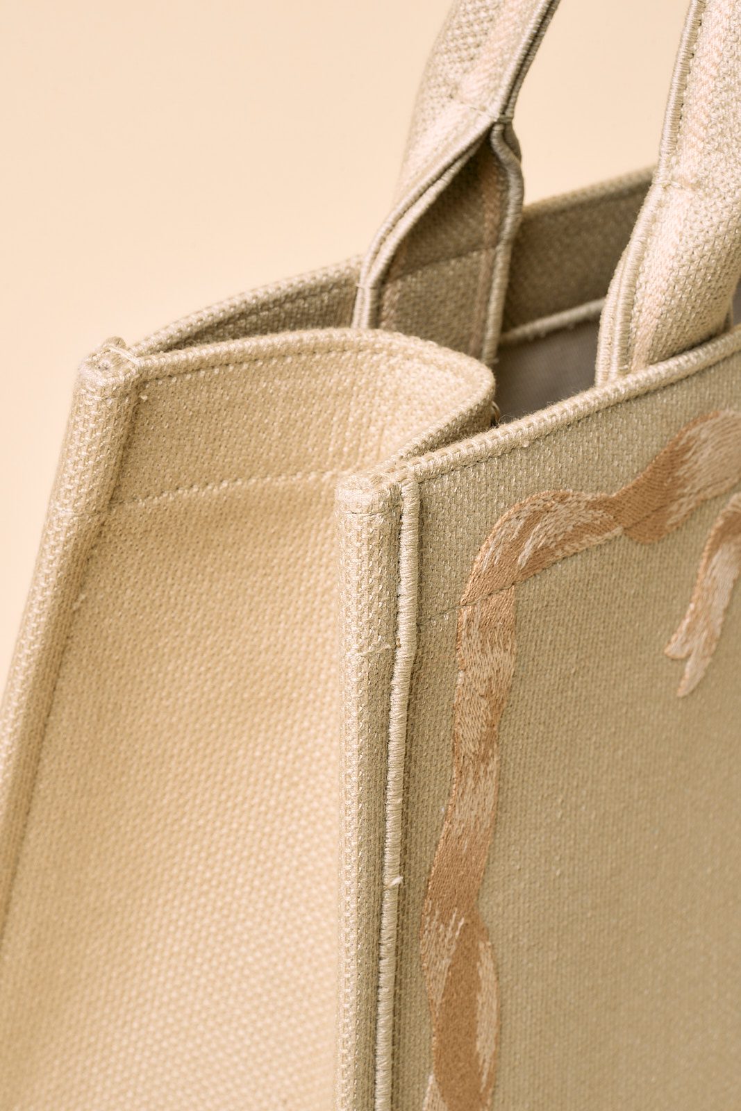 Dior Book Tote 2026 (04)
