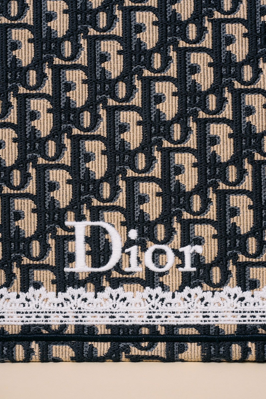 Dior Book Tote 2026 (05)