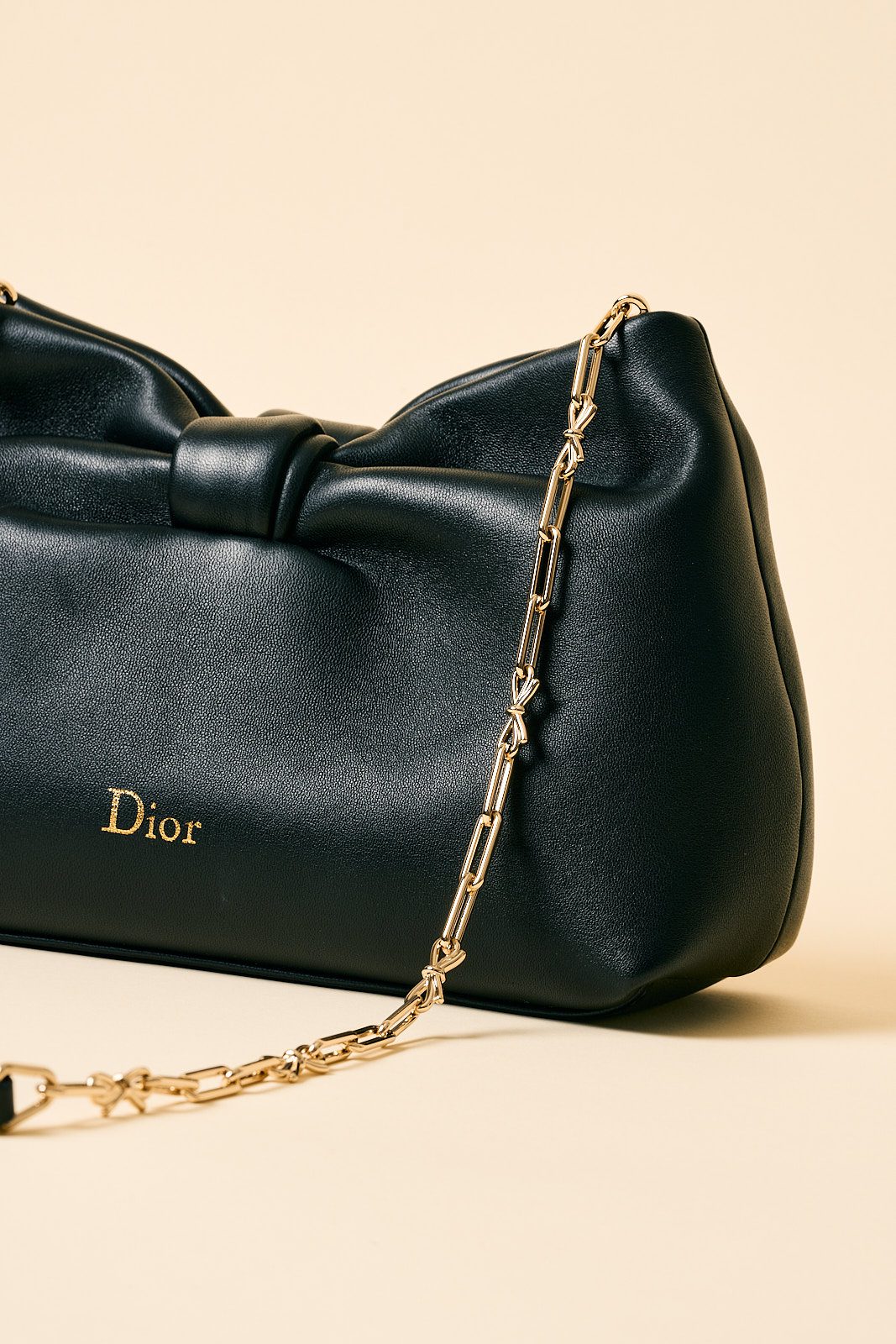 Dior Bow Bag 2026 (01)