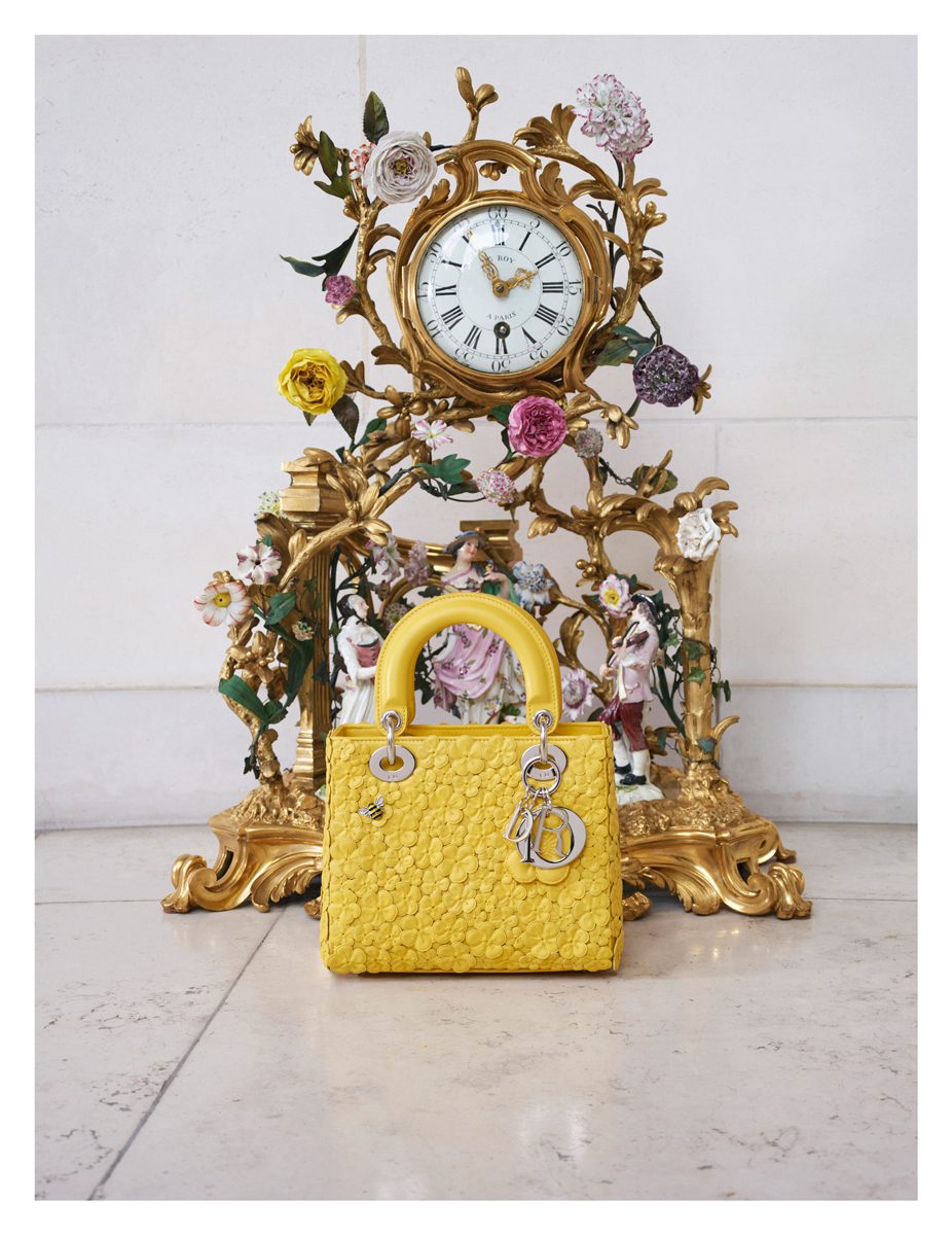 Lady Dior credit Jean-Marie Binet 3
