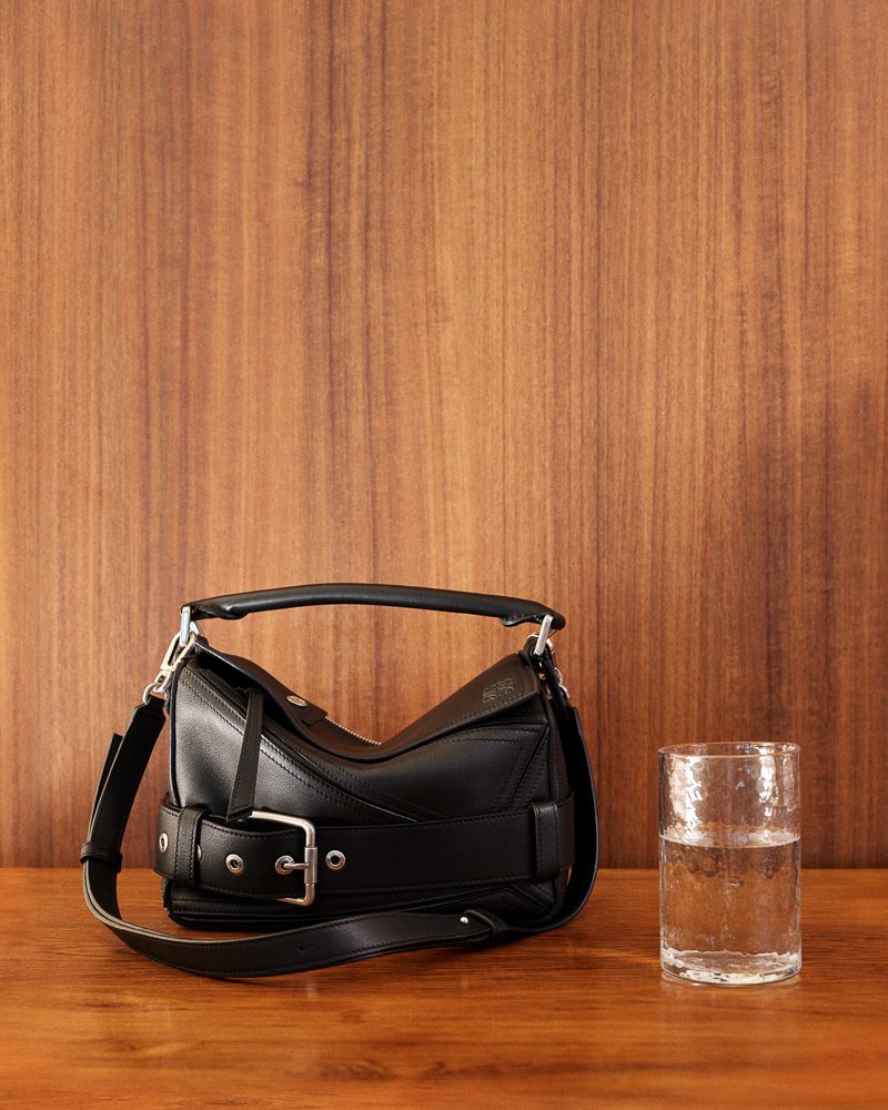 Loewe Pre Fall 2025 Bags 12