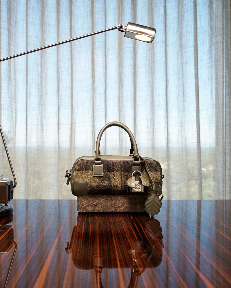 Loewe Pre Fall 2025 Bags 17