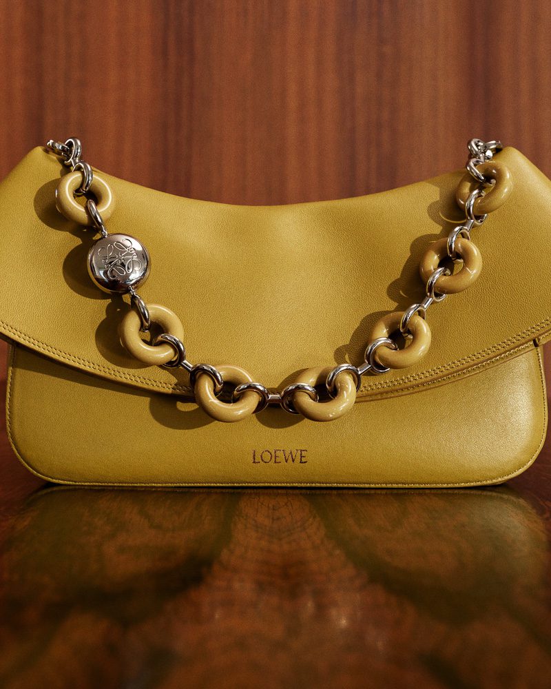 Loewe Pre Fall 2025 Bags 18