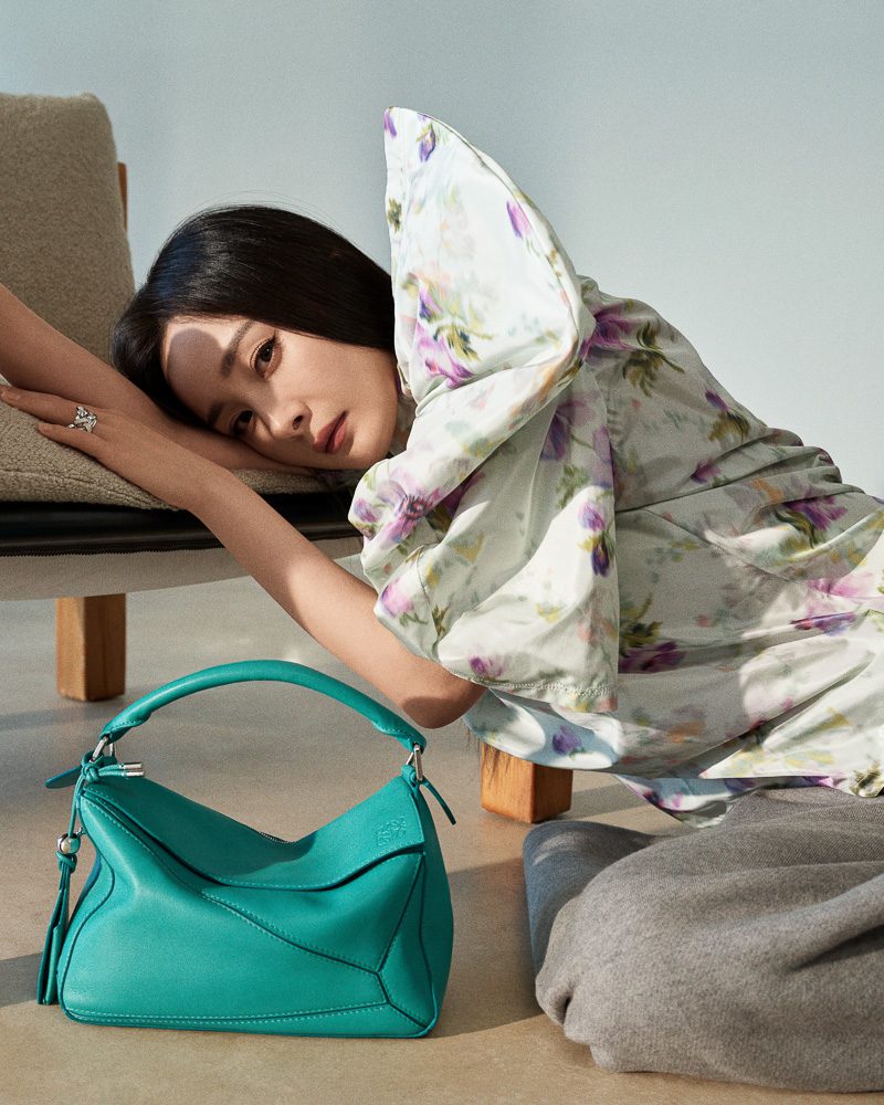 Loewe Pre Fall 2025 Bags 24