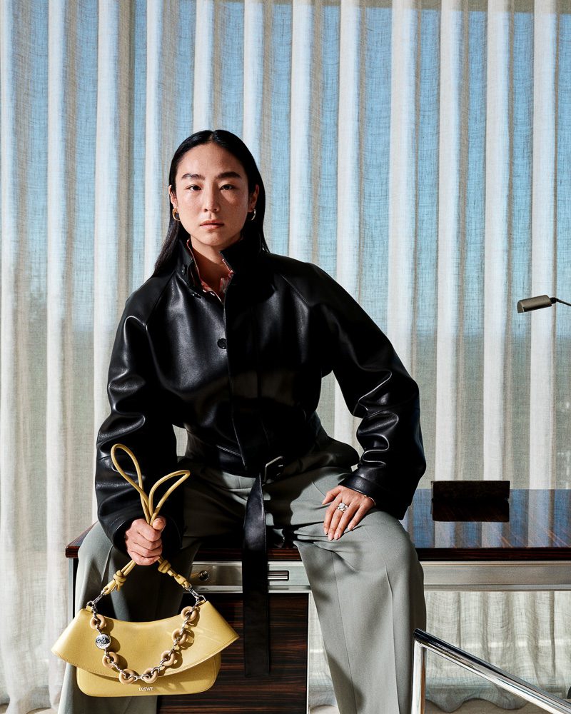 Loewe Pre Fall 2025 Bags 4