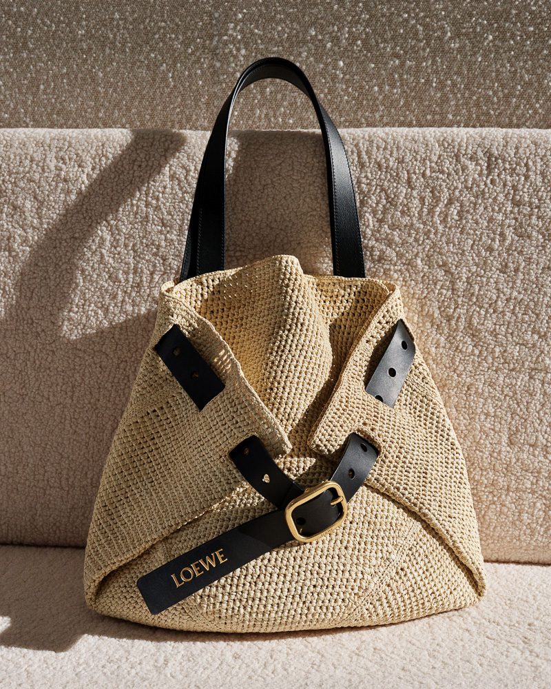 Loewe Pre Fall 2025 Bags 9